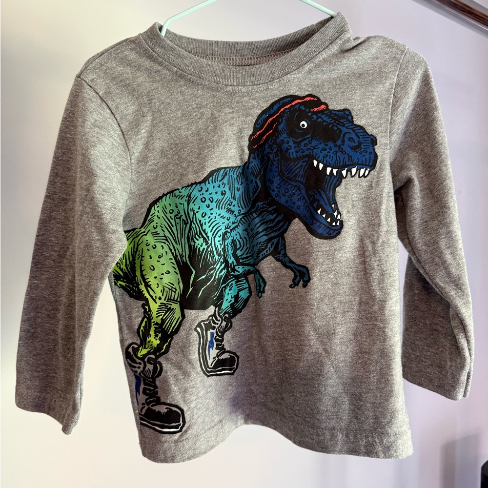 Garanimals Gray and Green Long Sleeve Tee with Dinosaur Graphic